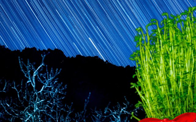 سفره هفت‌سین به عنوان یکی از نمادهای فرهنگ و آیین‌های ایرانی